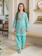 2 Piece Lawn Suit- Embroidered (Pret)